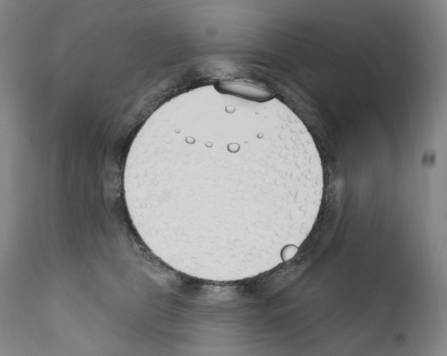 X0000110900469200907301610