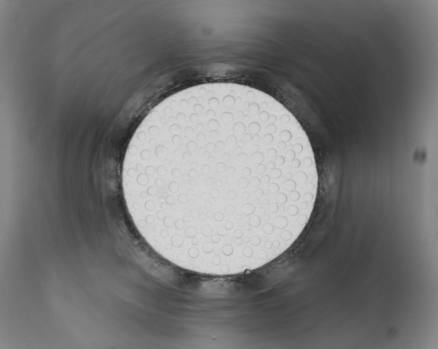 X0000110900470200907301610