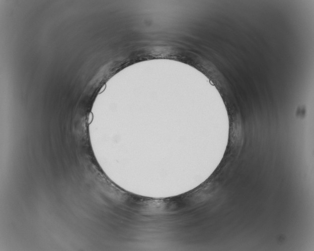 X0000110900473200907301610