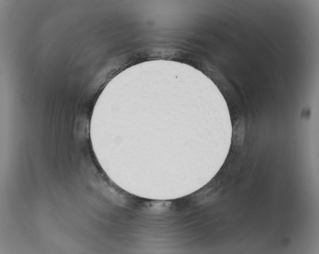 X0000110900474200907301610