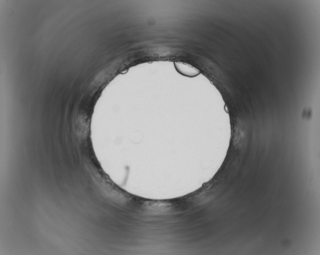 X0000110900476200907301610