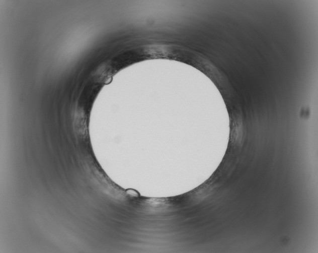 X0000110900477200907301610