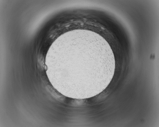 X0000110900479200907301610