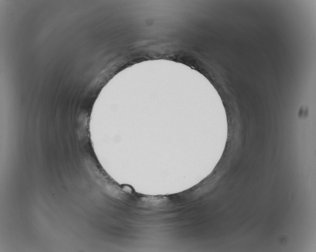 X0000110900480200907301610