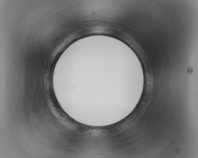 X0000110900482200907301610