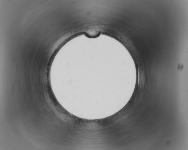 X0000110900483200907301610