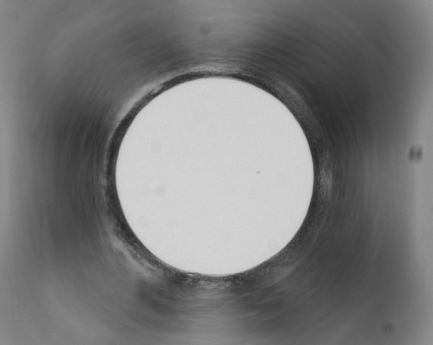 X0000110900484200907301610