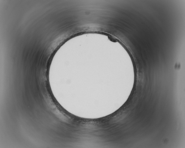 X0000110900485200907301610