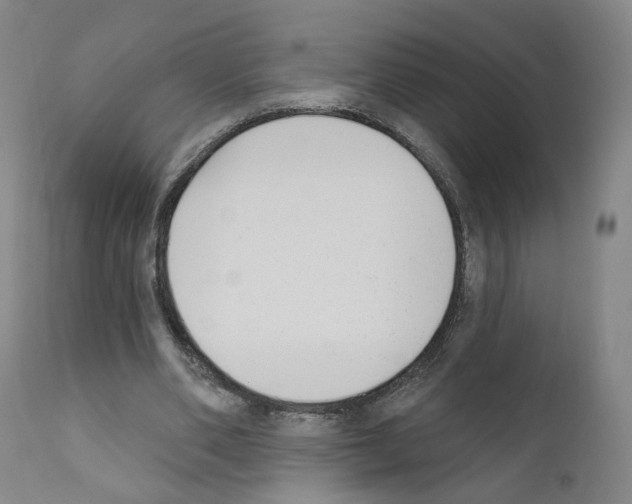 X0000110900486200907301610