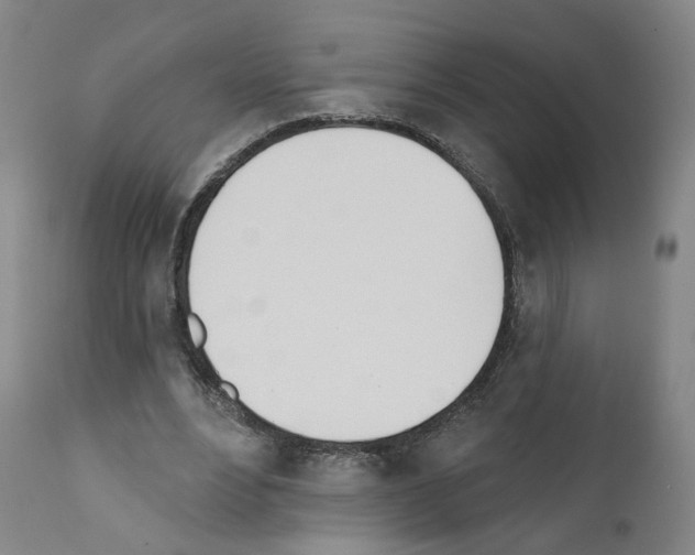 X0000110900488200907301610