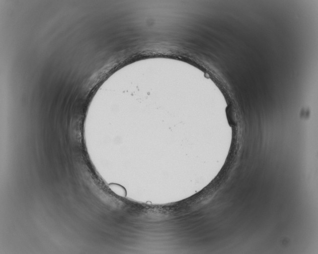 X0000110900489200907301610