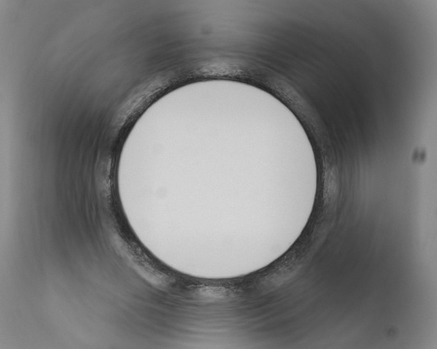 X0000110900490200907301610