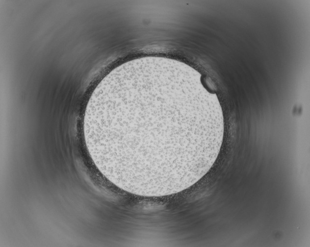 X0000110900491200907301610