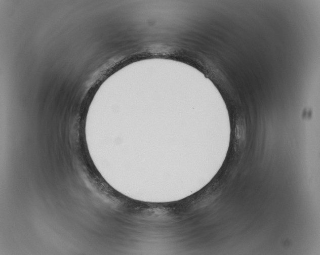 X0000110900492200907301610