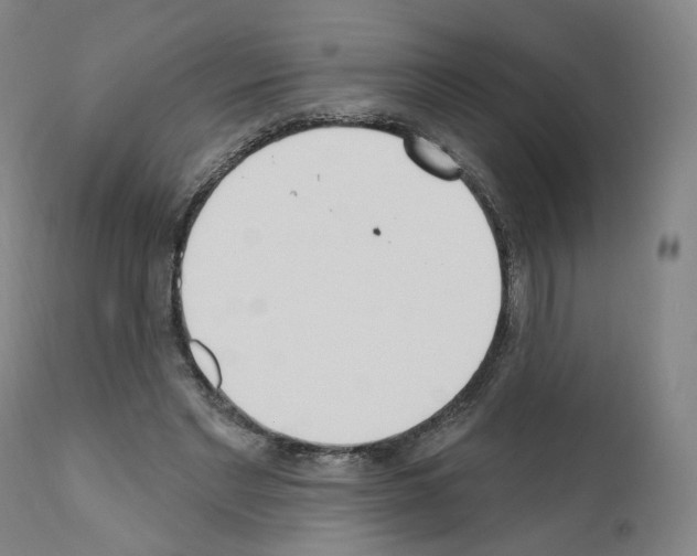 X0000110900493200907301610