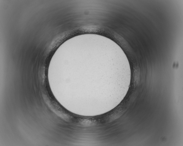 X0000110900494200907301610