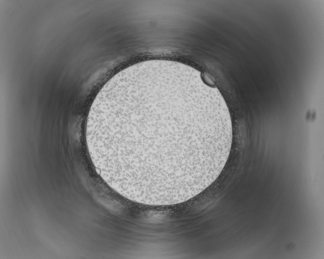 X0000110900495200907301610