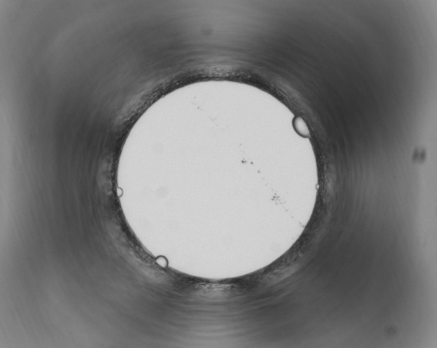 X0000110900497200907301610