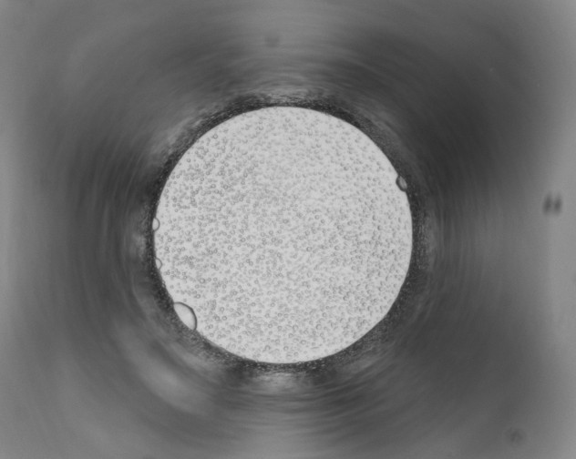 X0000110900499200907301609