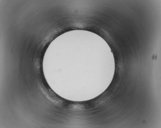 X0000110900500200907301609