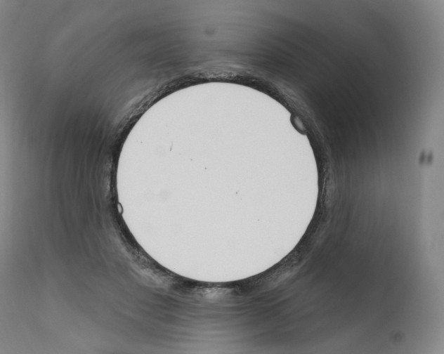 X0000110900501200907301609