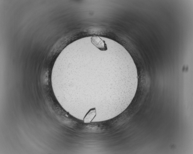 X0000110900502200907301609