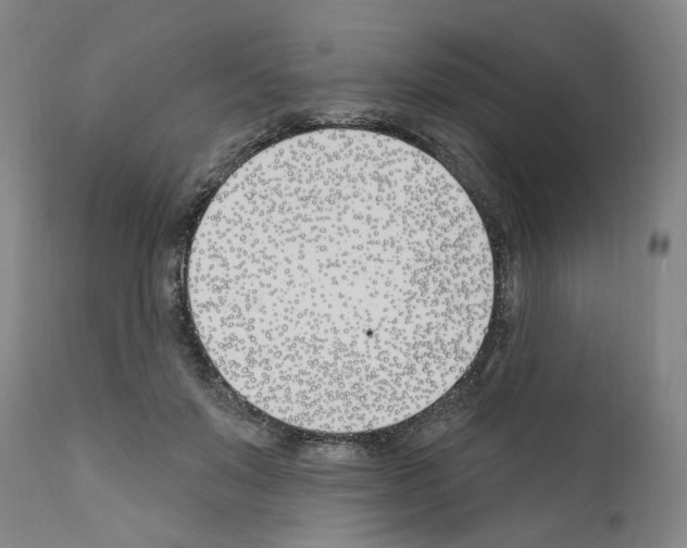 X0000110900503200907301609