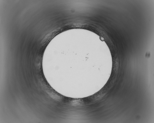 X0000110900505200907301609