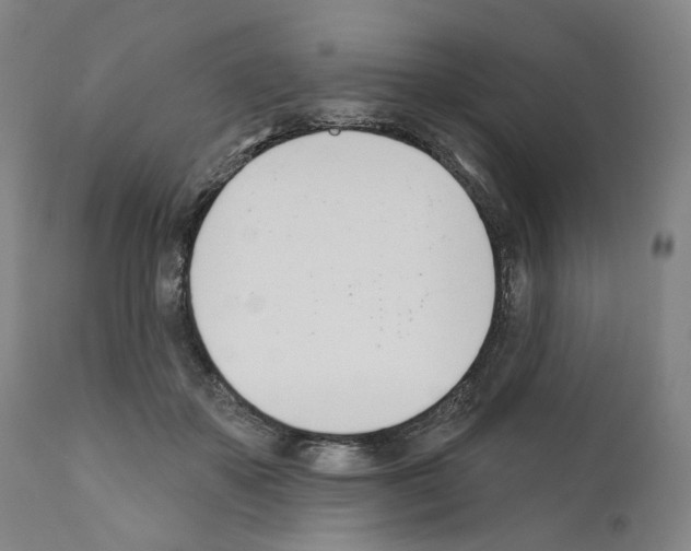 X0000110900507200907301609