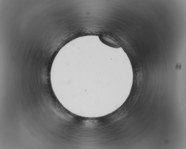 X0000110900508200907301609