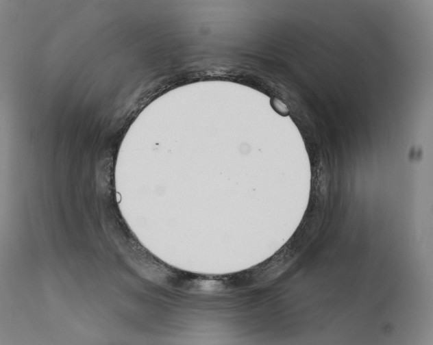 X0000110900509200907301609