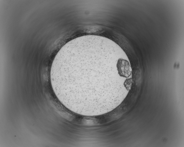 X0000110900510200907301609