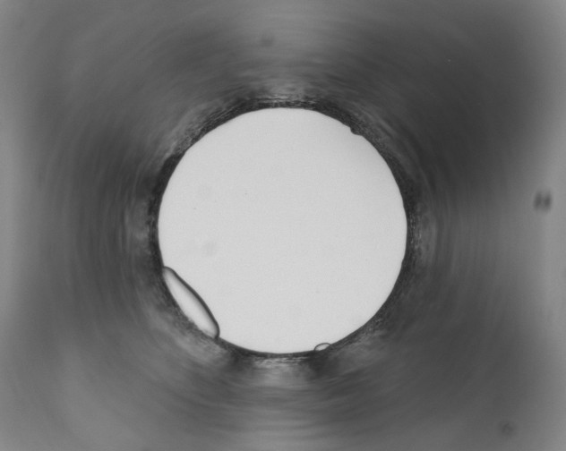 X0000110900516200907301609