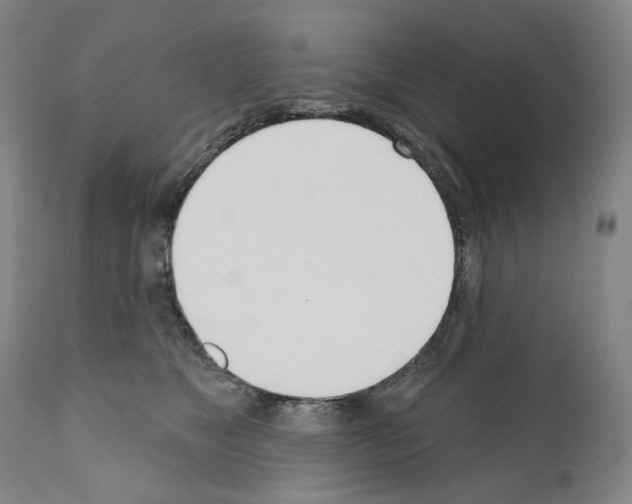 X0000110900517200907301609