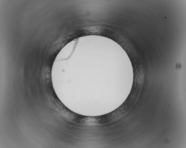 X0000110900518200907301609