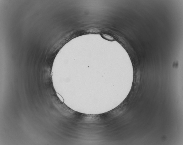 X0000110900521200907301609