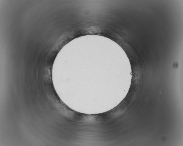 X0000110900523200907301609