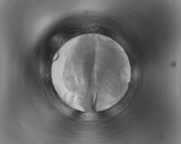 X0000110900526200907301609