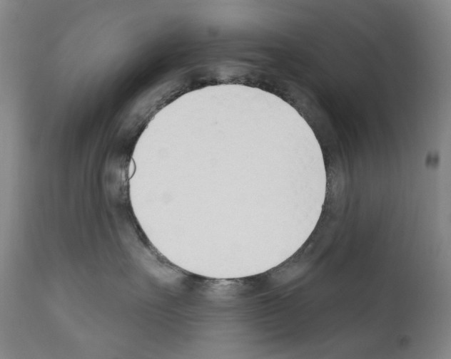 X0000110900527200907301609