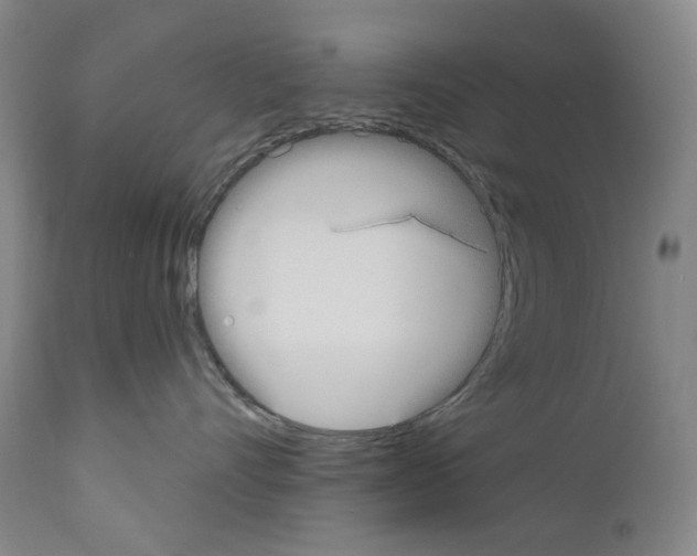 X0000110900528200907301609