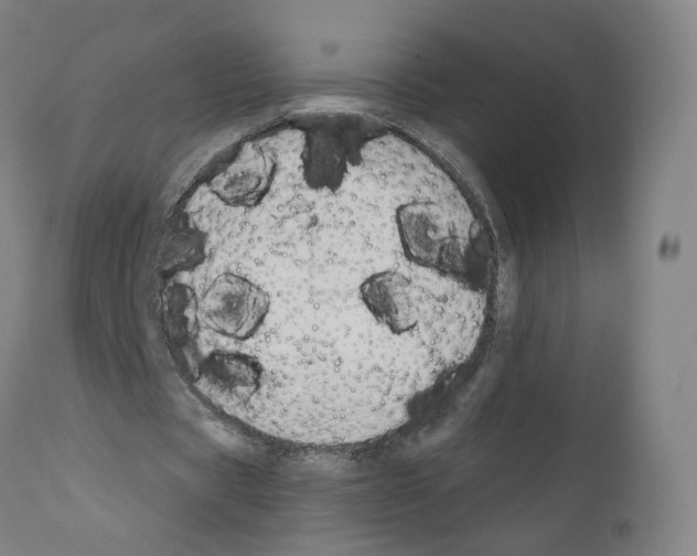 X0000110900529200907301608