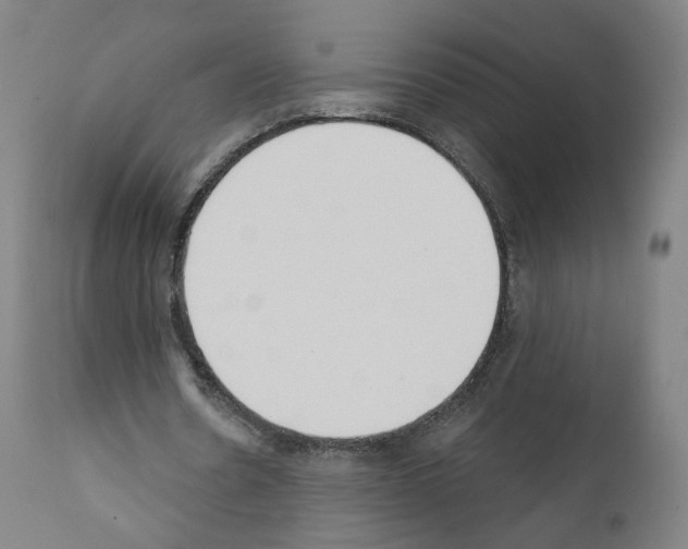 X0000110900530200907301608