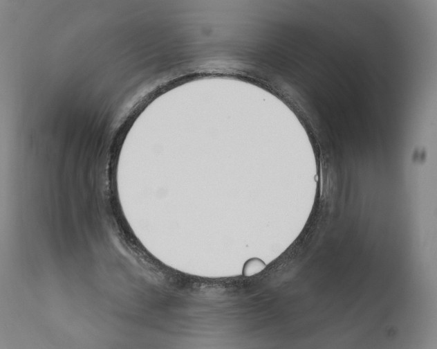 X0000110900531200907301608