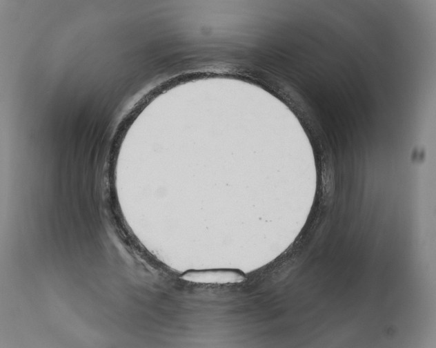 X0000110900532200907301608