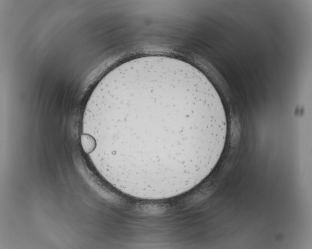 X0000110900533200907301608