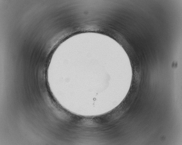 X0000110900534200907301608