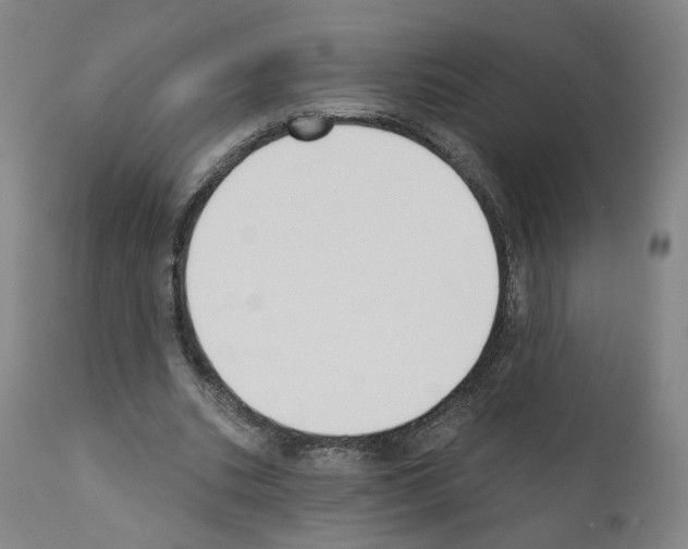 X0000110900535200907301609