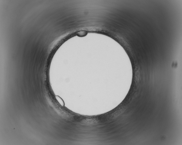 X0000110900536200907301609