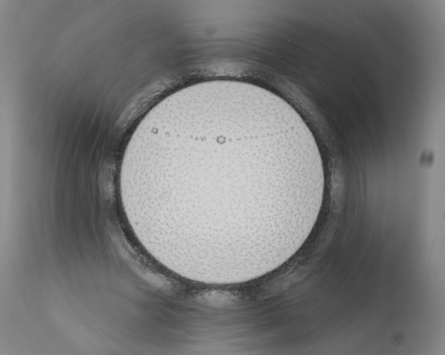 X0000110900537200907301609