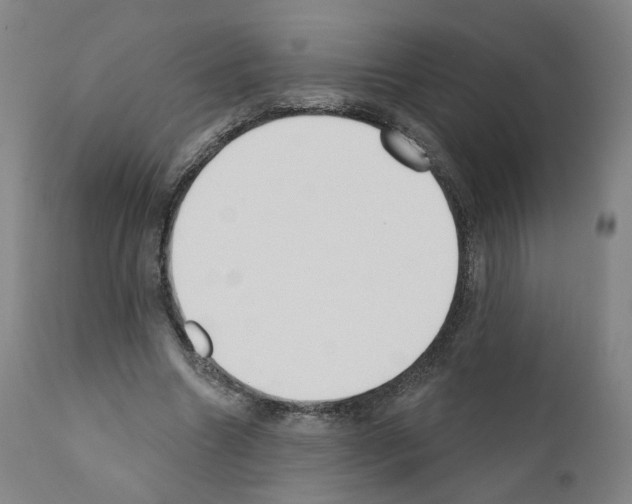 X0000110900538200907301609